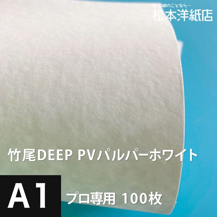 M　メインクーン　インテリア　アクリル画　A4サイズ額装付き　BAEZ3 猫 インテリア メインクーン アクリル画 キャンバスF3号 BAEZ3
