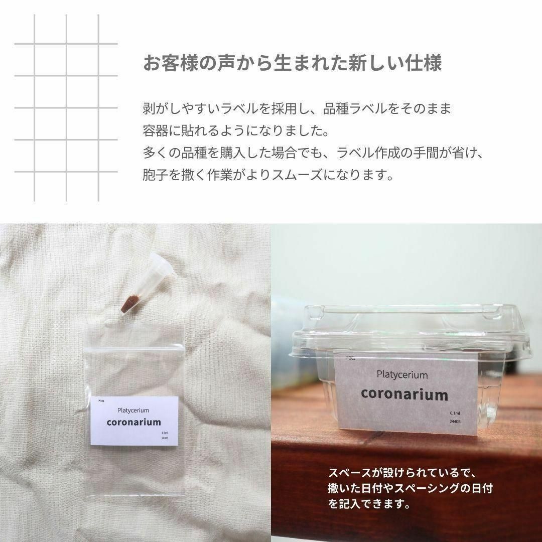 【数量限定】ビカクシダ胞子　45種セット 数量限定】ビカクシダ胞子 56種セット - メルカリ