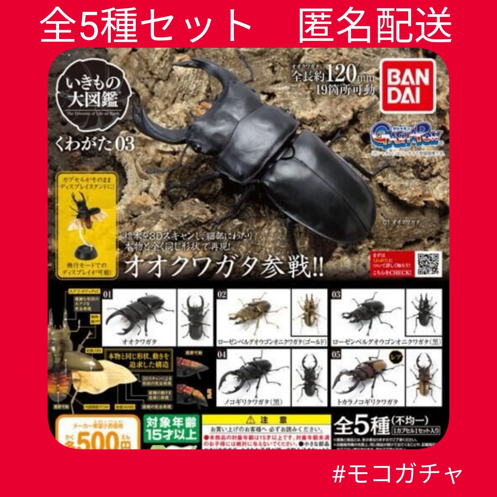ロット売り一袋まるごと20個セット　 いきもの大図鑑　くわがた03 台座付き廃盤 くわがた03｜いきもの大図鑑｜ガシャポンオフィシャルサイト