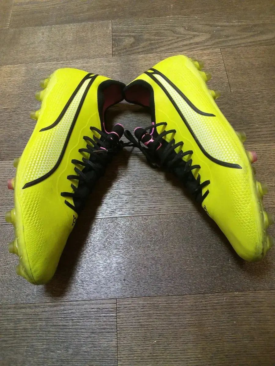 掛軸 丸岡蒼雲 茶禅一味 共箱 茶掛 画賛 書 掛け軸 丸岡蒼雲 「 夢