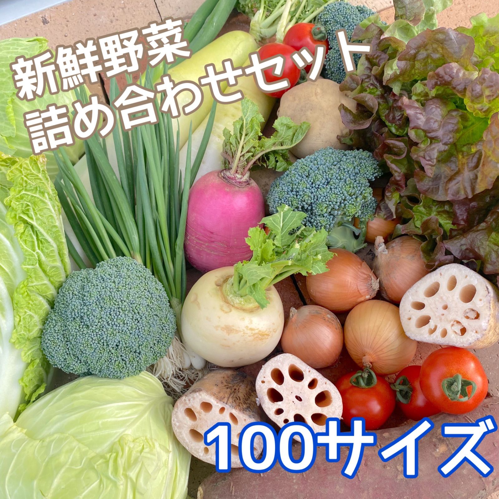 季節の採れたて野菜 詰め合わせセット 100サイズ - 野菜