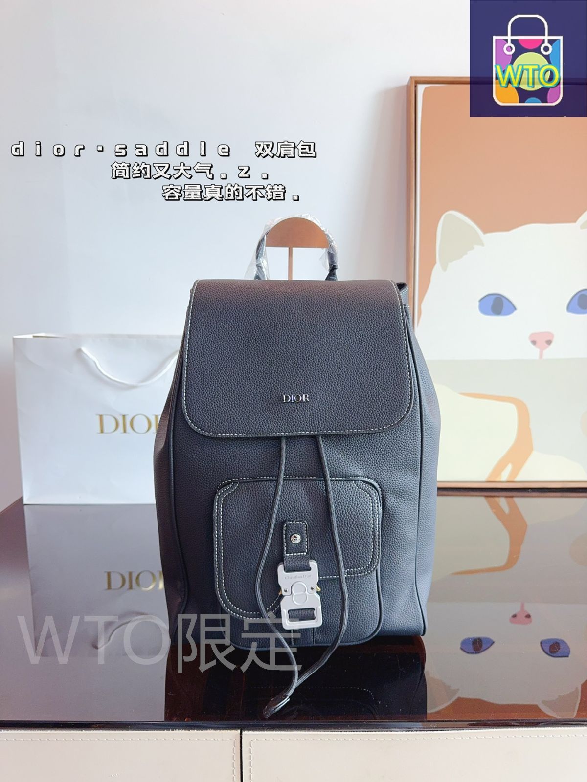 【Dior】ディオール カロ カメラ ショルダーバッグ 2Way Dior DIOR CARO(ディオール ディオール カロ) ショルダーバッグ