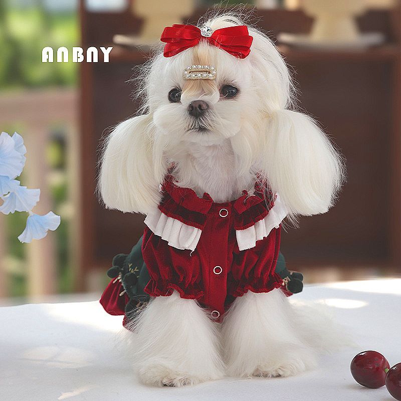 アトリエgg 1ハーフ さくらんぼ アトリエgg ⭐︎トップス