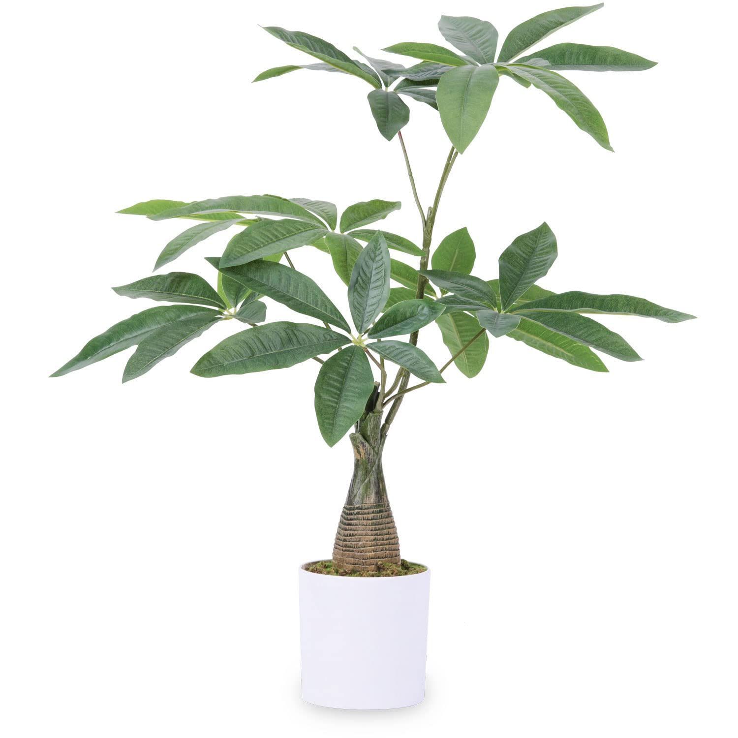 55CM フェイクグリーン 人工観葉植物 観葉樹 造花 光触媒 空気清浄 パキラ 多幸の木 高さ55cm 屋内 オフィス 鉢植え 植木