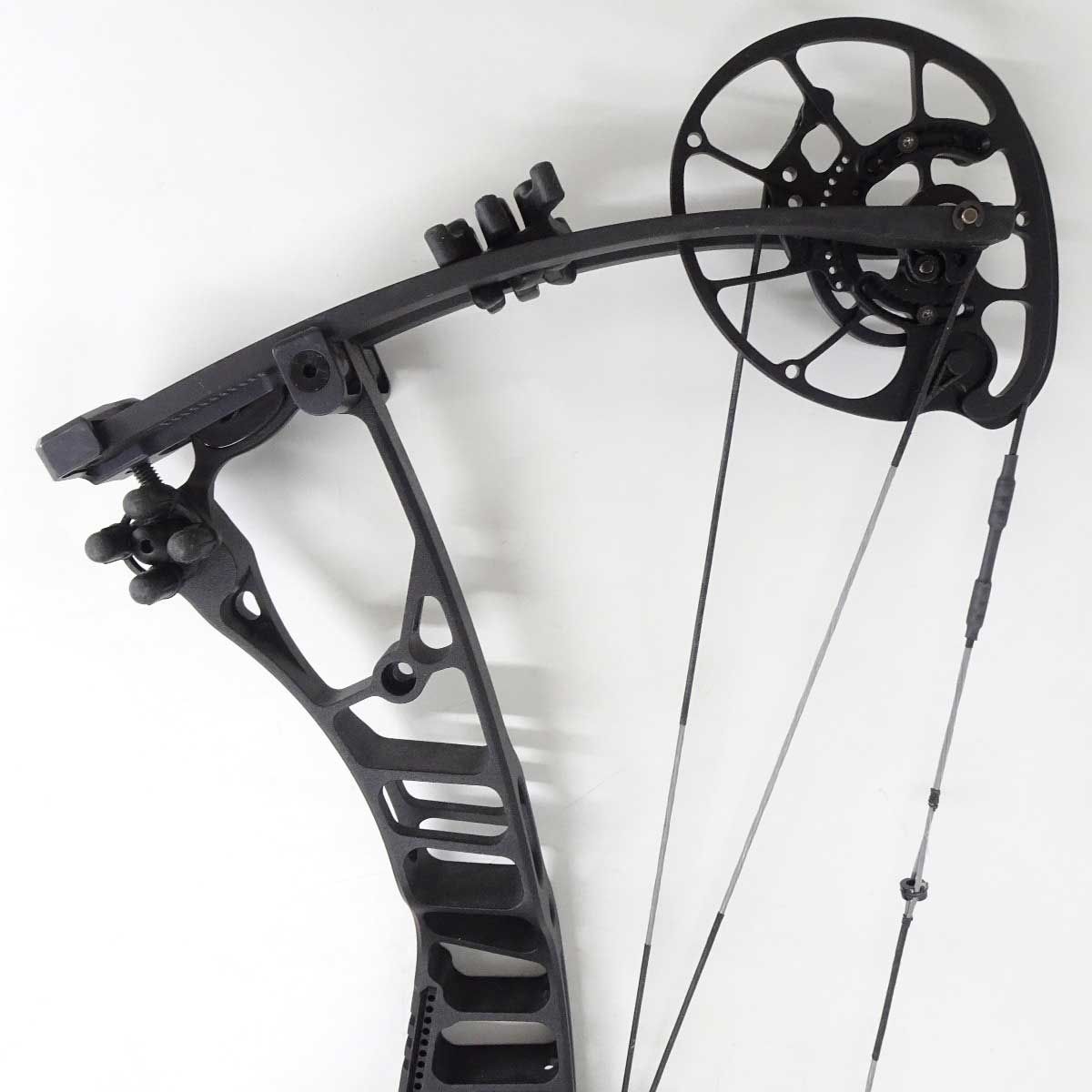 HOYT