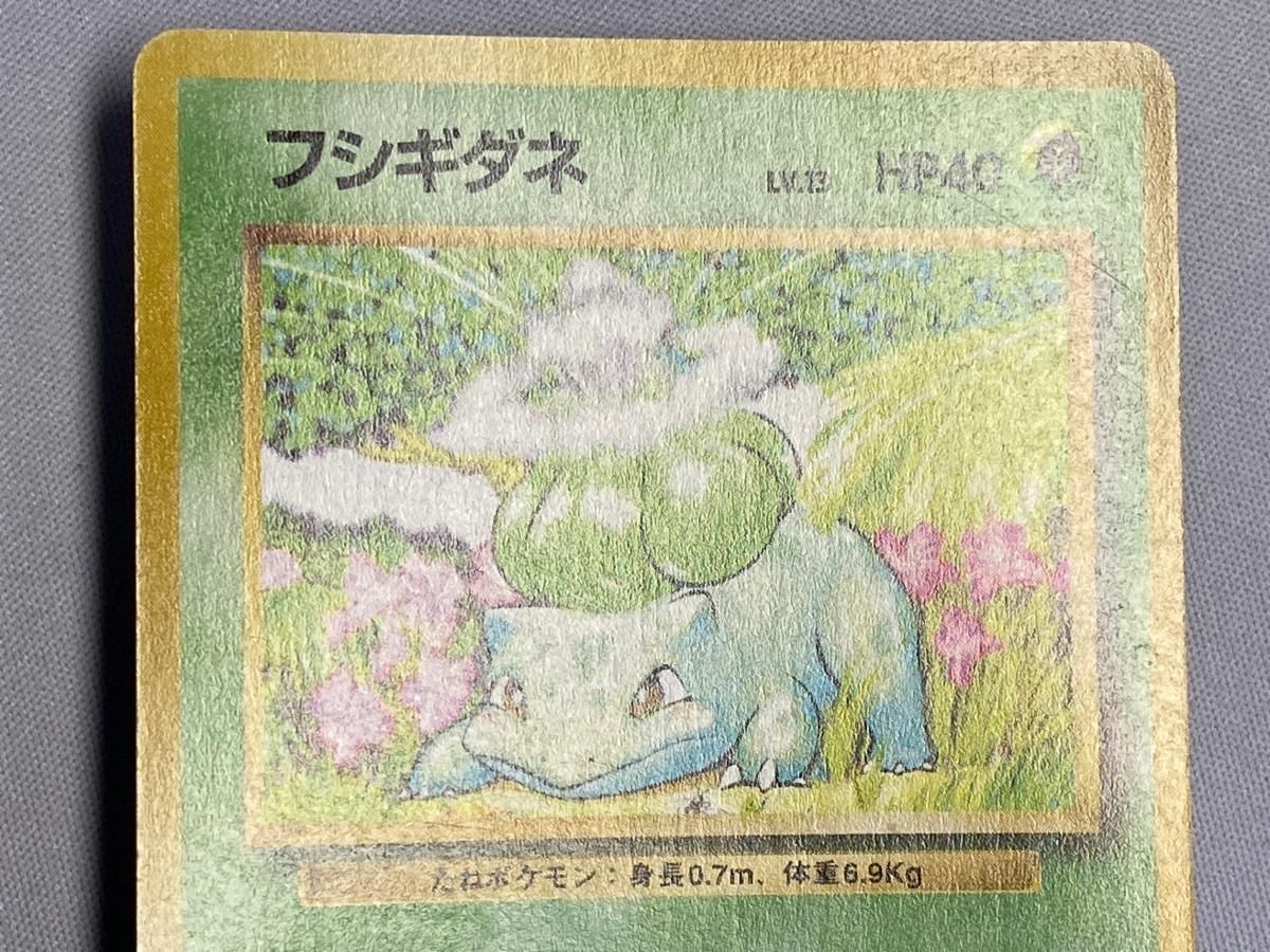 フシギダネ LV.13(第1弾初版・マーク無し) [旧裏面] No.001 傷