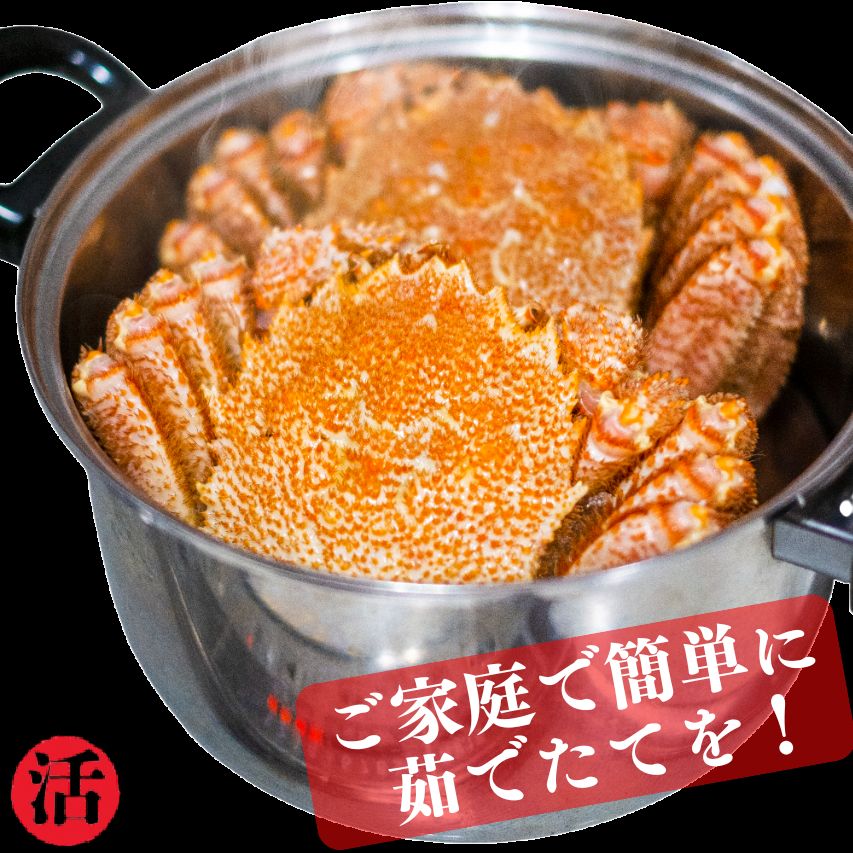 訳アリ】北海道産 活毛蟹 6-8尾(約2kg)＊直送 - メルカリ