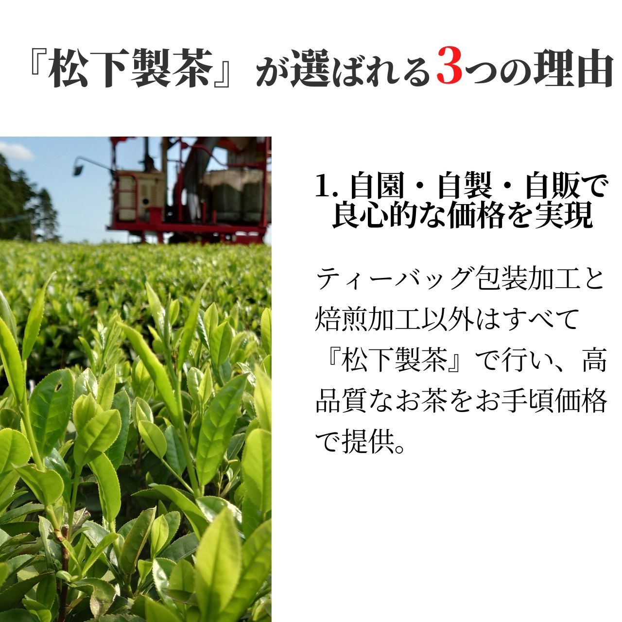 松下製茶 種子島の有機緑茶『やぶきた』 茶葉(リーフ) 100g