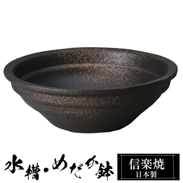 ユーカリ 10号 | 観葉植物 | インテリアやギフトに - Hitohana（ひとは