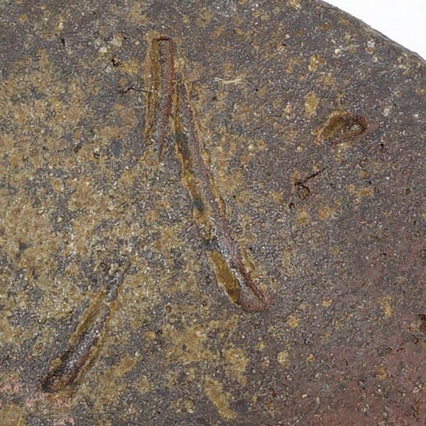 備前焼 三村陶伯