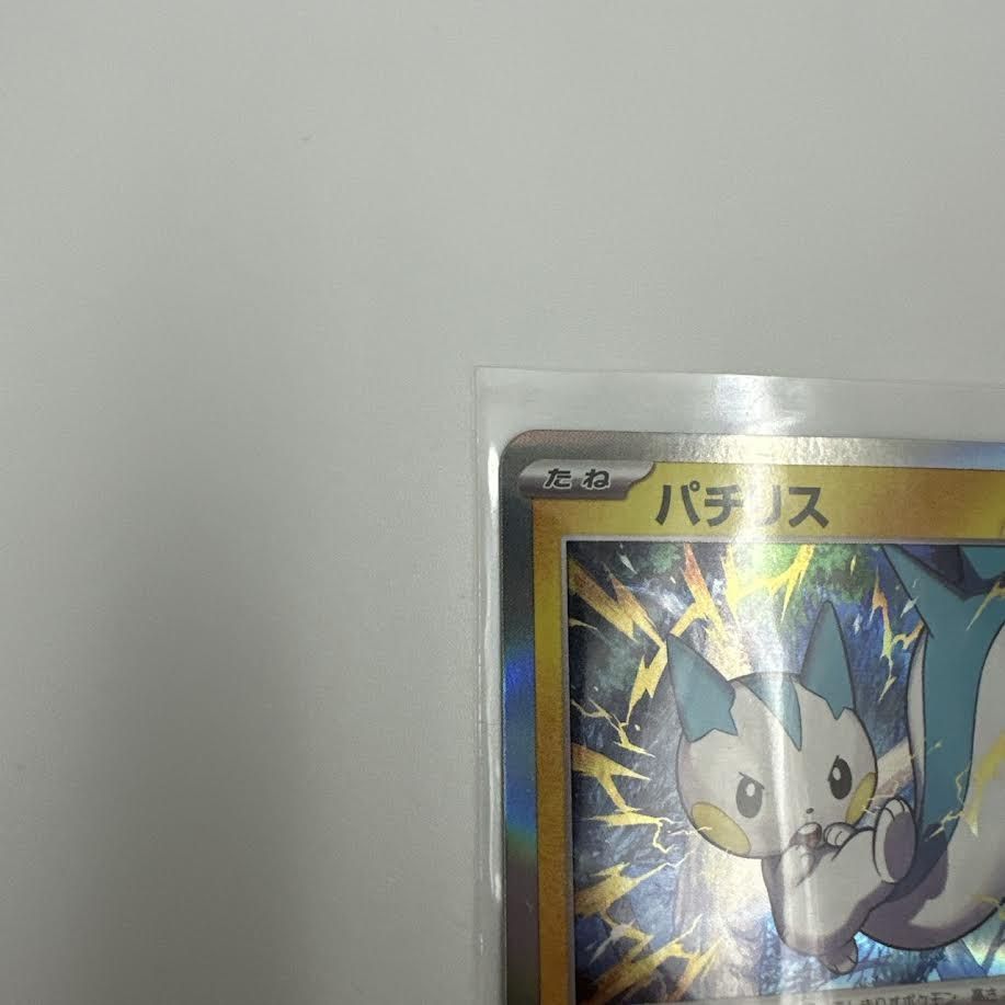 未使用品】ポケモンカード パチリス ポケモンファン プロモ