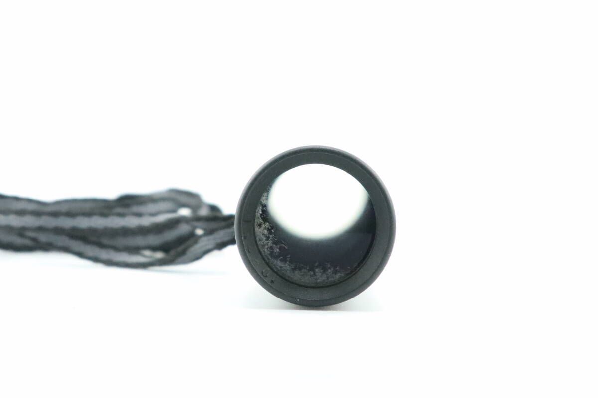 カールツァイス CARL ZEISS 10×25 BT P 単眼鏡 W0833＃3071