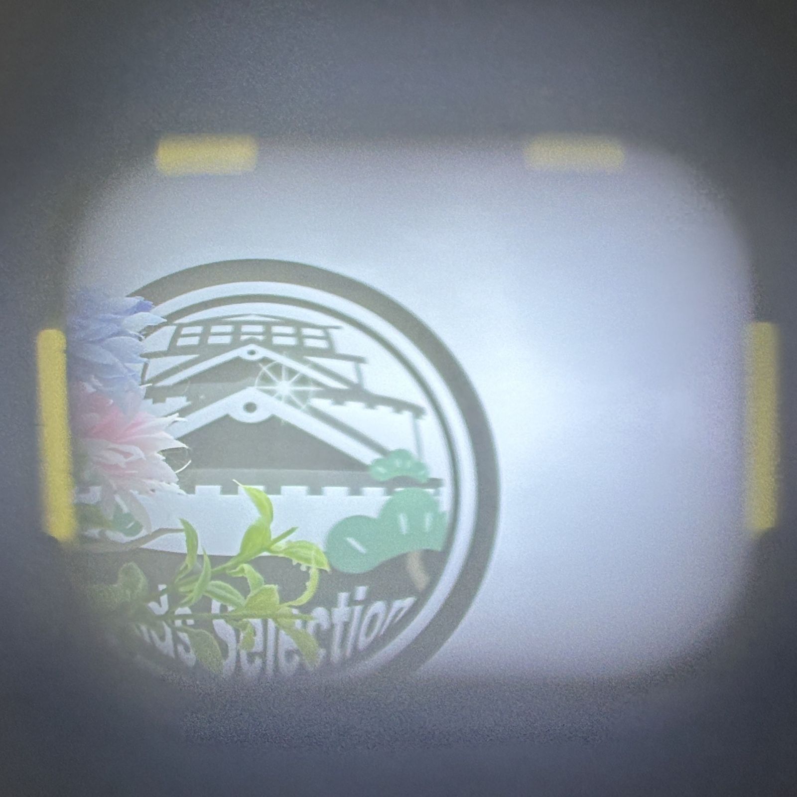 内蔵電池 交換済