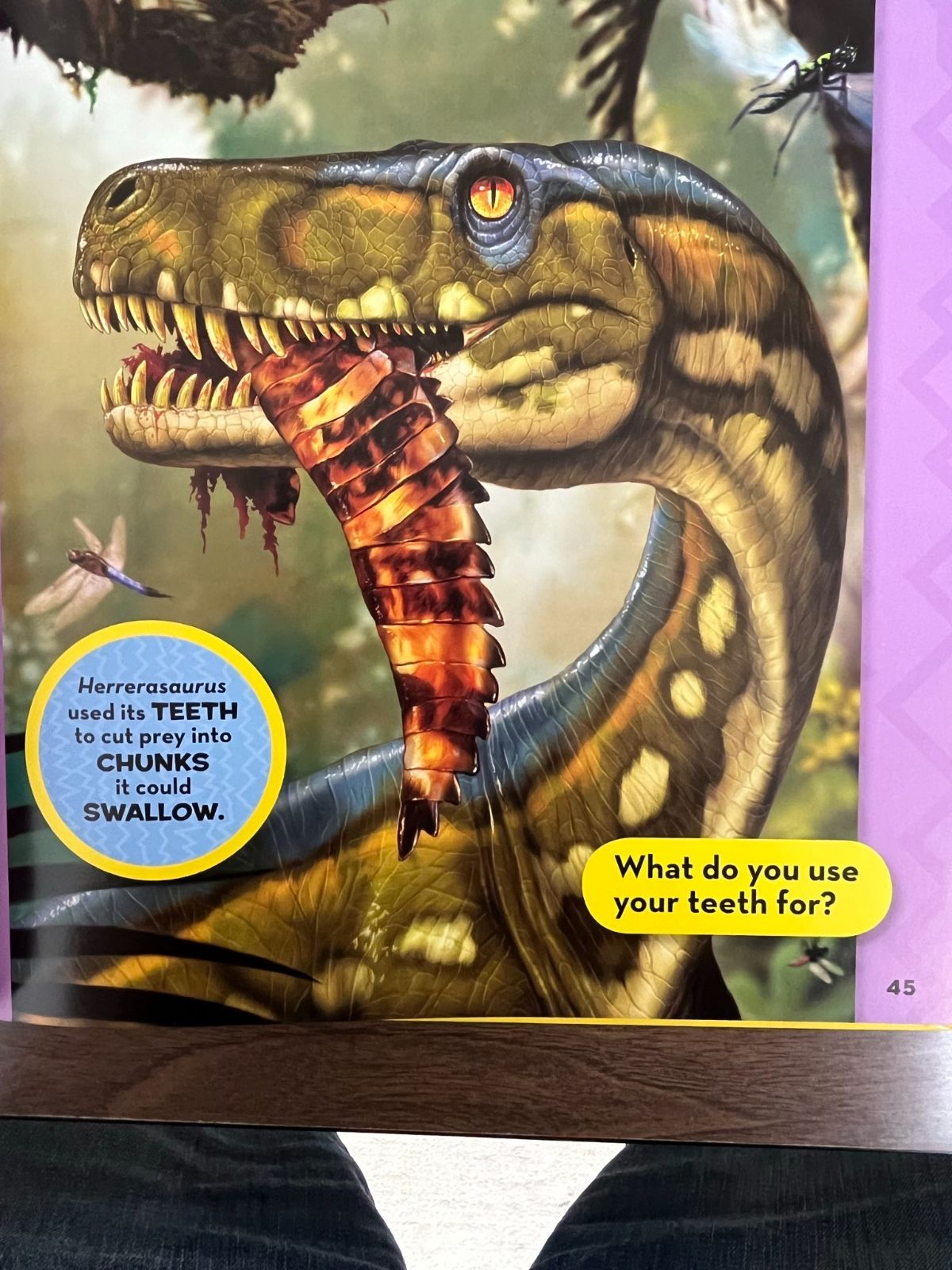 National Geographic Little Kids First Big Book of Dinosaurs