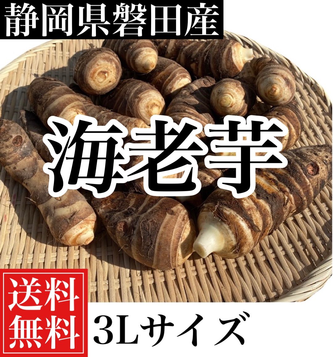 メルカリshops 静岡県磐田産 海老芋3lサイズ5キロ 約8個から10個入り 送料無料
