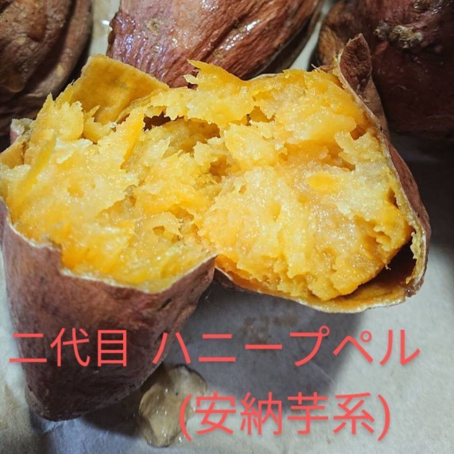 冷凍焼き芋ハニープペル(安納芋系)1.8kg