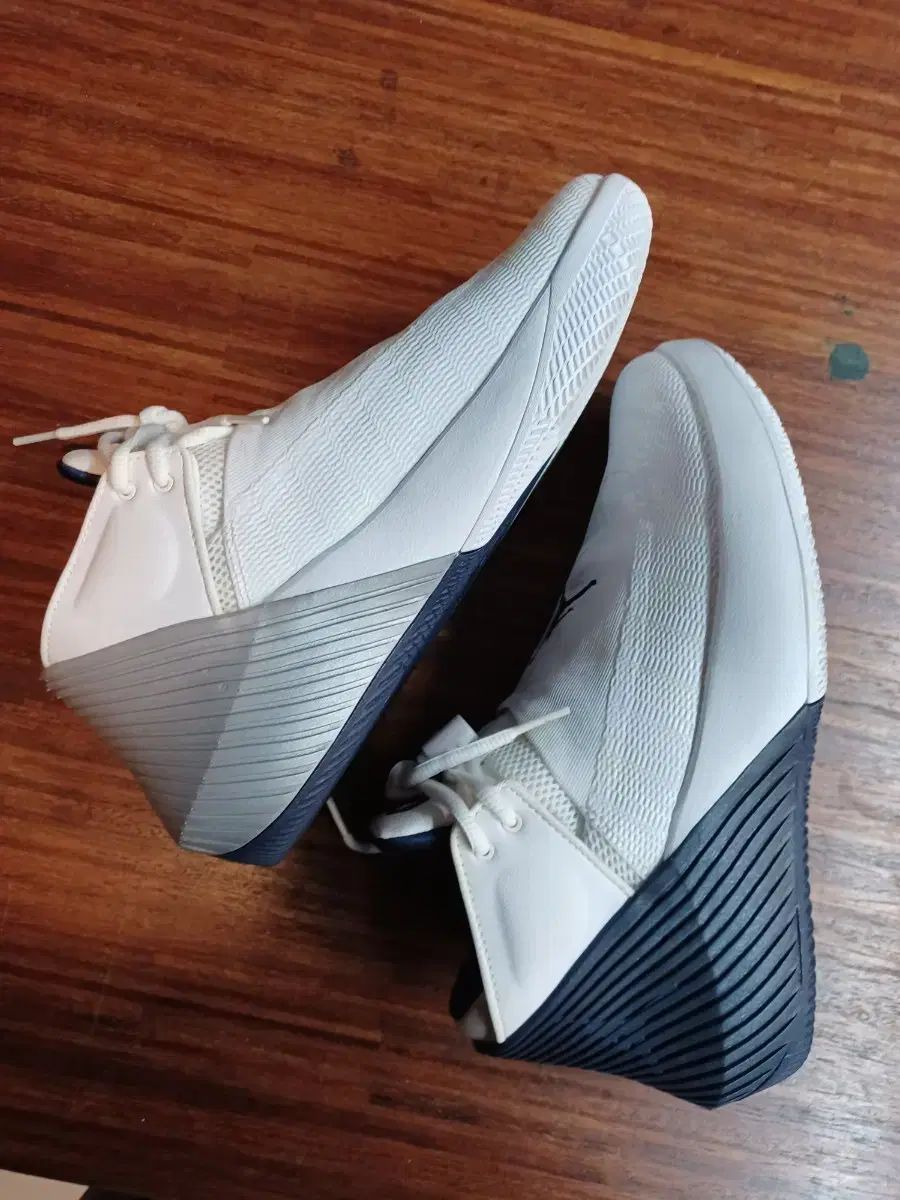 【雷市場（ポンジャン）商品韓国直送】 NIKE(ナイキ) ジョーダン ワイノット ゼロ 255