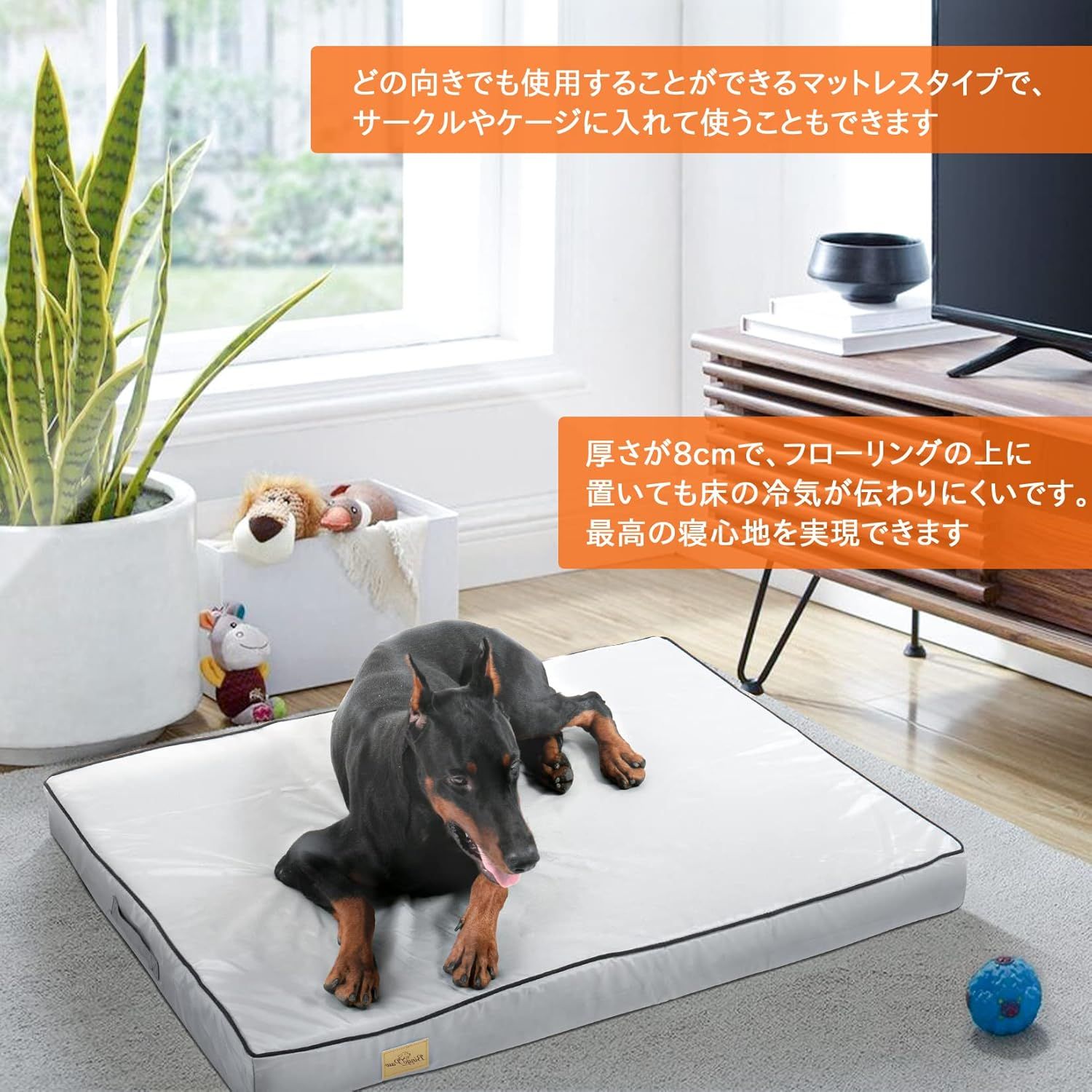 洗える 老犬介護ベッド