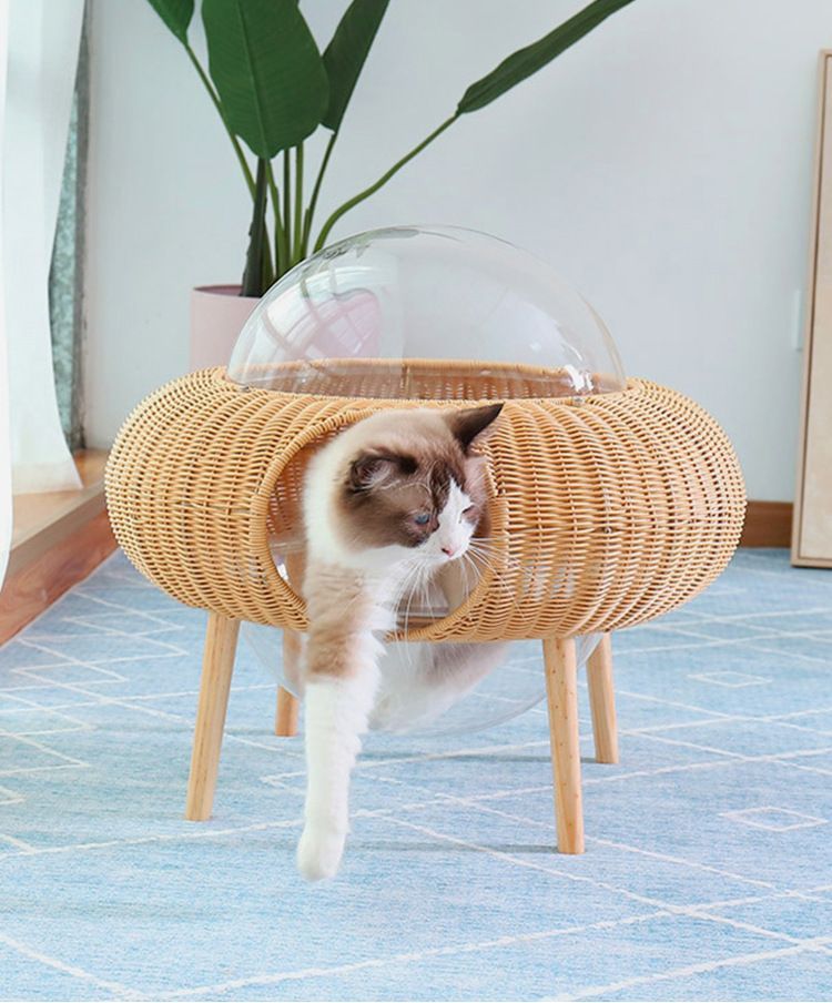 アクリルバブルクリアキャットベッド 屋内猫用