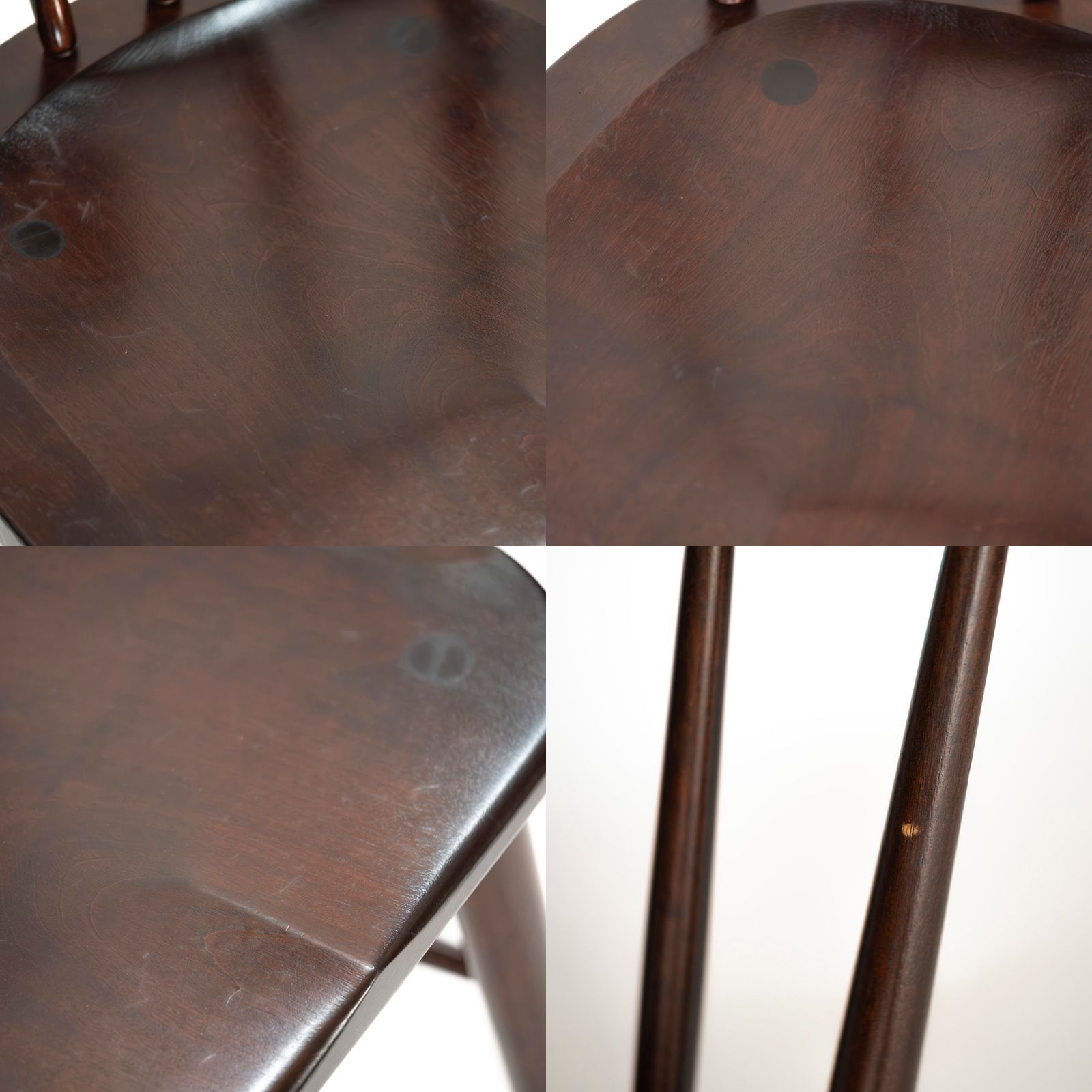 オリーブの木 マウリィーノ 10号 約140cm K-85 希少品種 一点物 【公式