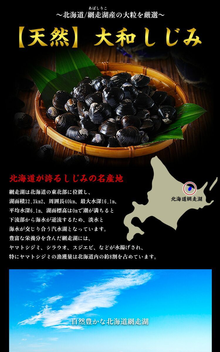 🗾北海道網走湖の【天然＆大粒】大和しじみ（生/急速冷凍）1kg（500g×2P）【甲羅組】