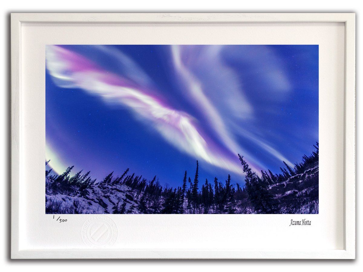 フォニックスDVD＆冊子1つ付き】ミライグリッシュ ボックスDVD&CD