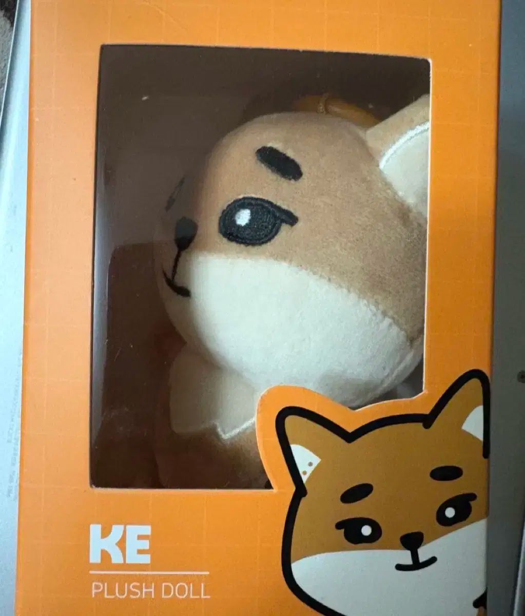 雷市場（ポンジャン）商品韓国直送】 DAY6(デイシックス) デニマルズ