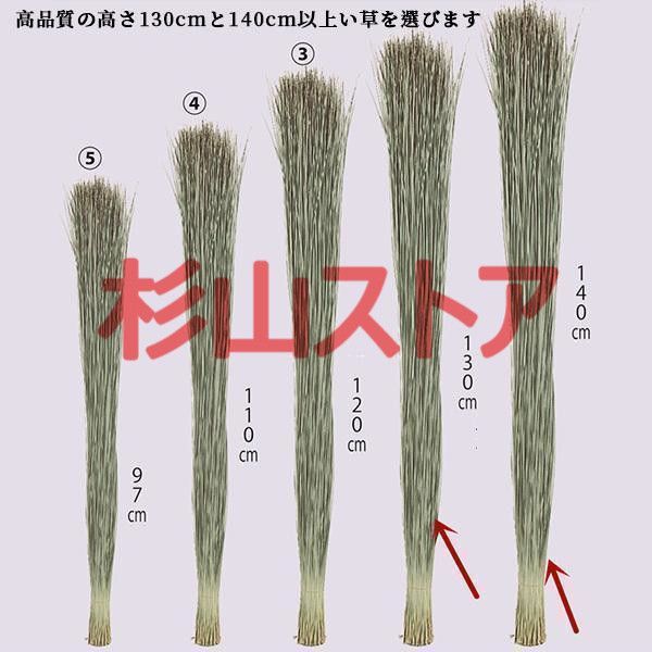 カーペット 畳ベッド