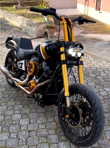 パープル 2018〜24年ソフテイル