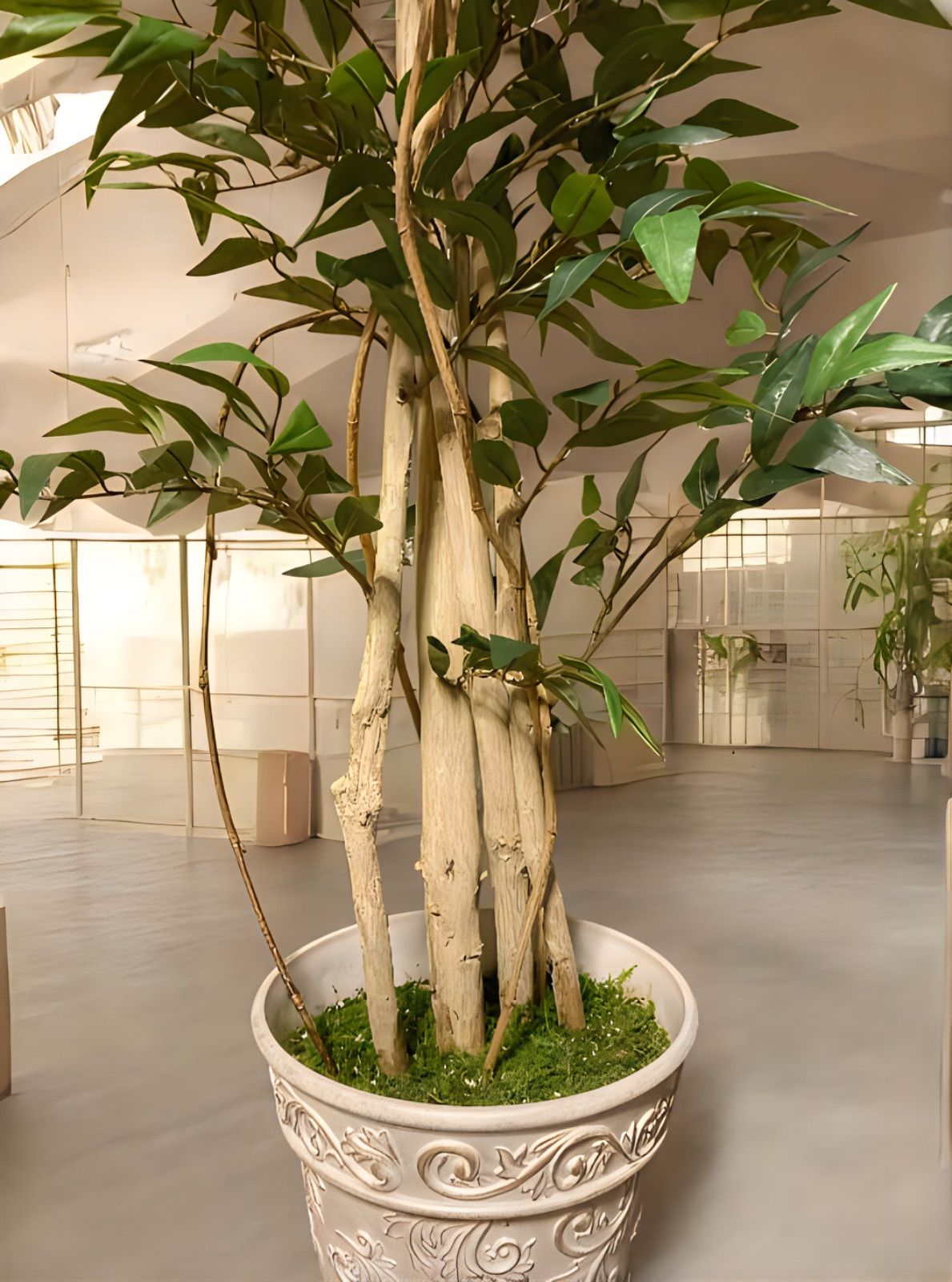 人工観葉植物