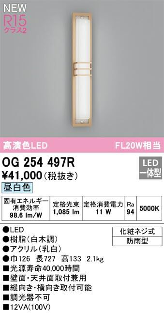 LEDポーチライト OG254497R