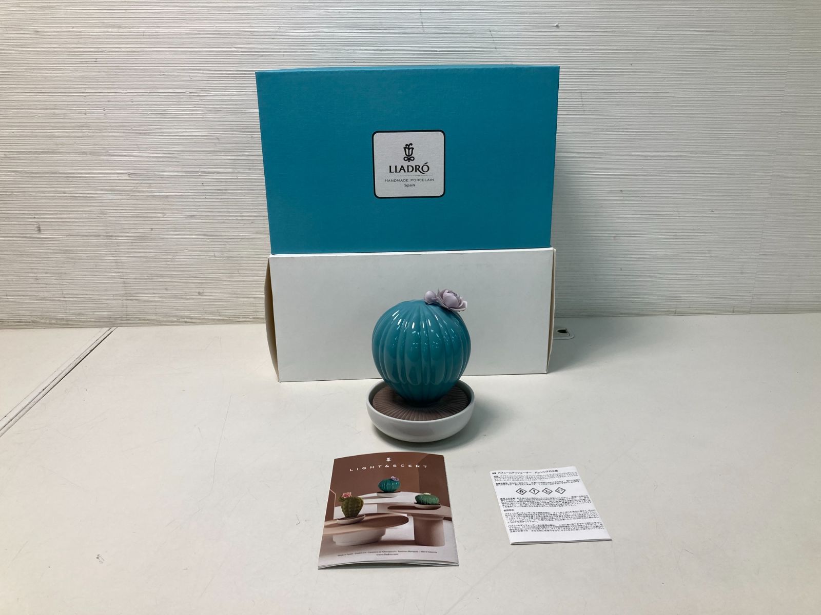 ち*た様 アガベ リップルエフェクト 子株 サルミアナ ハイブリッド や