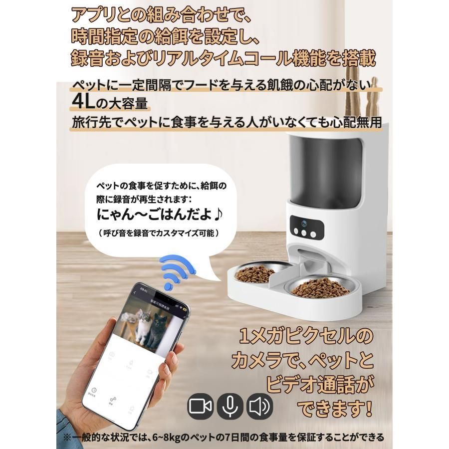 2匹 多頭飼い