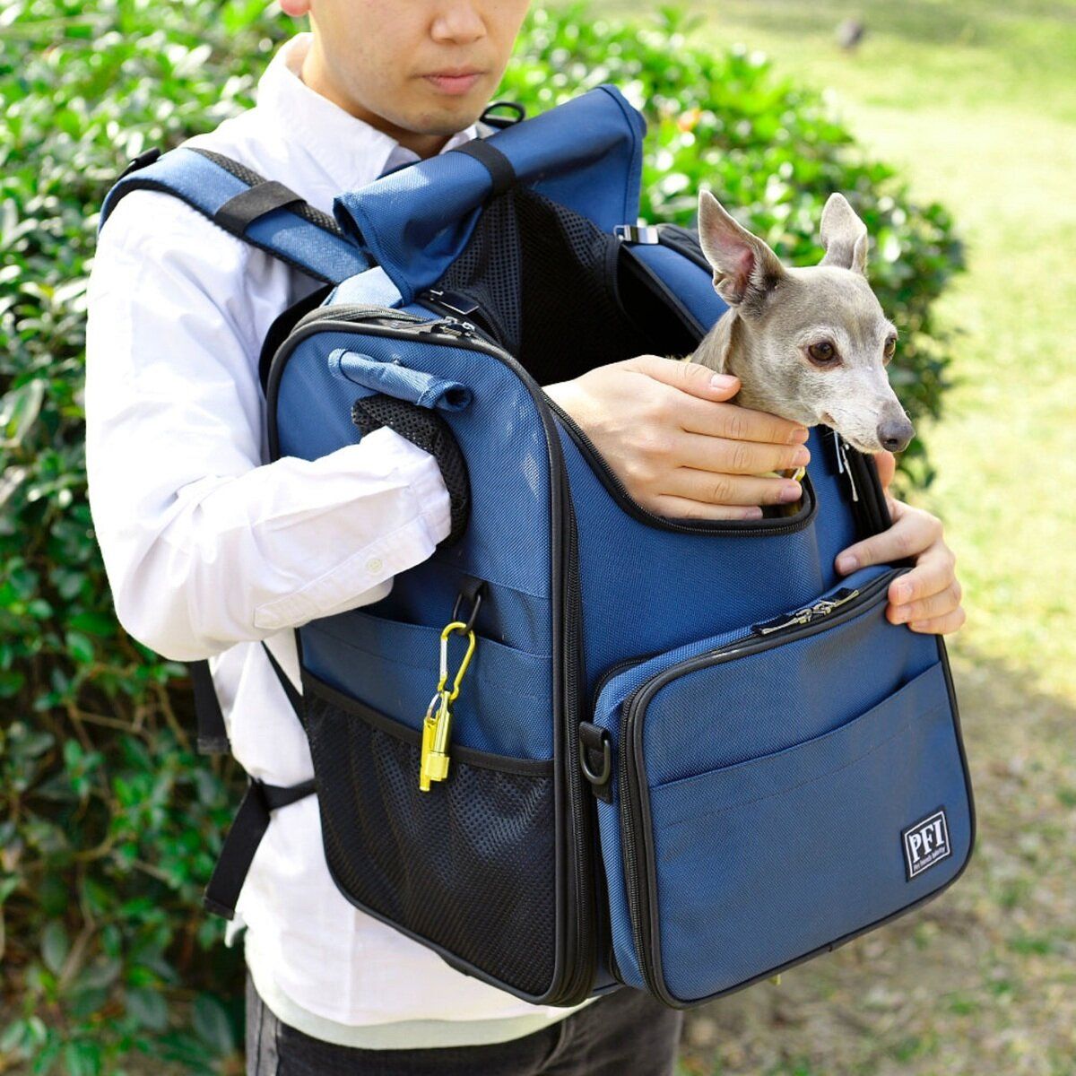 コストコ商品!PFI ペットキャリーバッグ レギュラーサイズ ct62741
