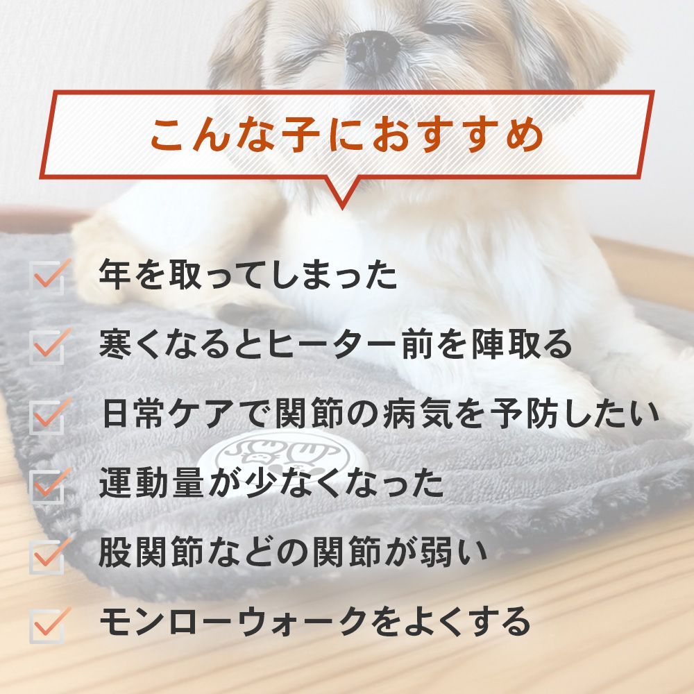 犬