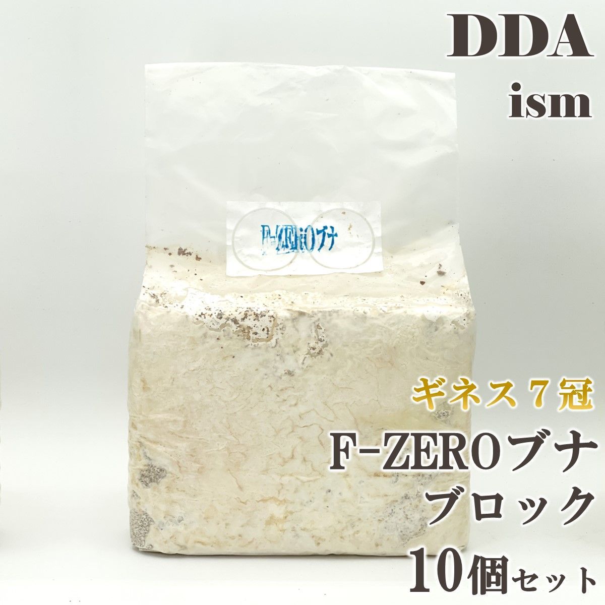 ギネス7冠 スマトラオオヒラタ109.3mm【DDA】F-ZEROブナ 100% 菌糸 ブロック 10個セット dda クワガタ 菌糸瓶 菌糸ビン 幼虫 エサ