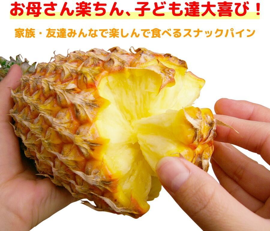 沖縄産パイナップル 約20.0kg
