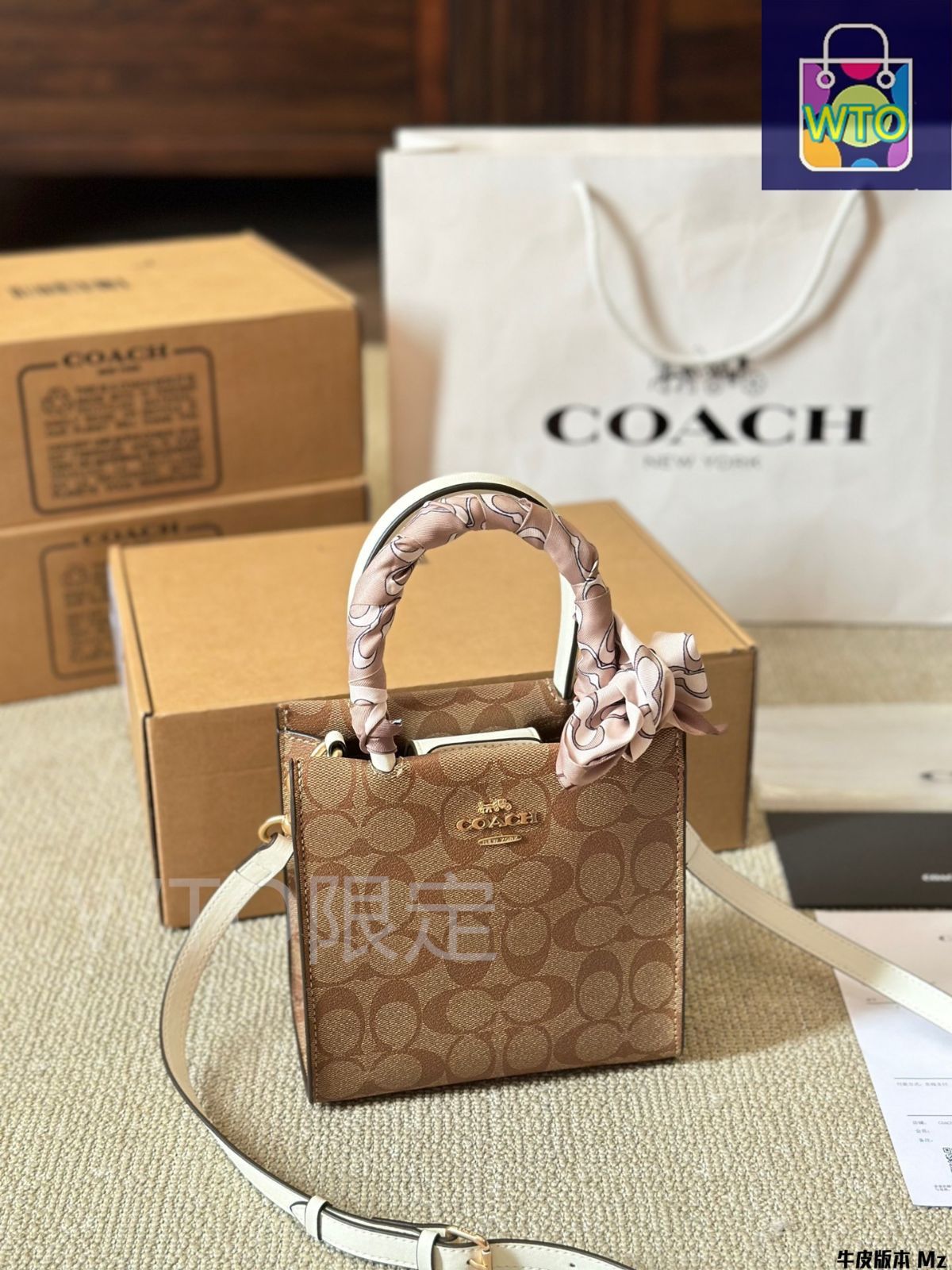 コーチ ミニカリー