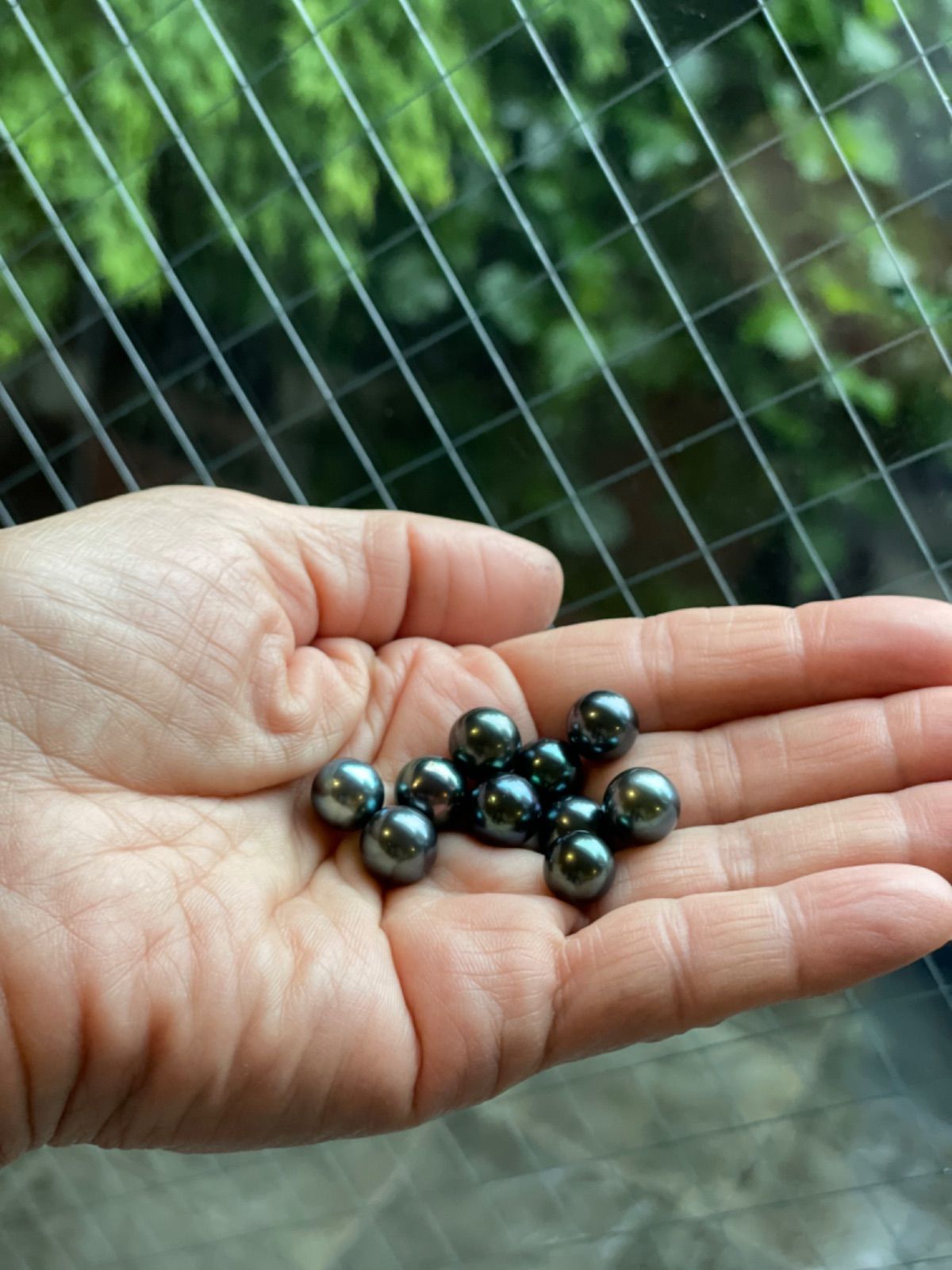 354 タヒチアンパール ブルーグリーン最後の2個 9mm ラウンド AAA