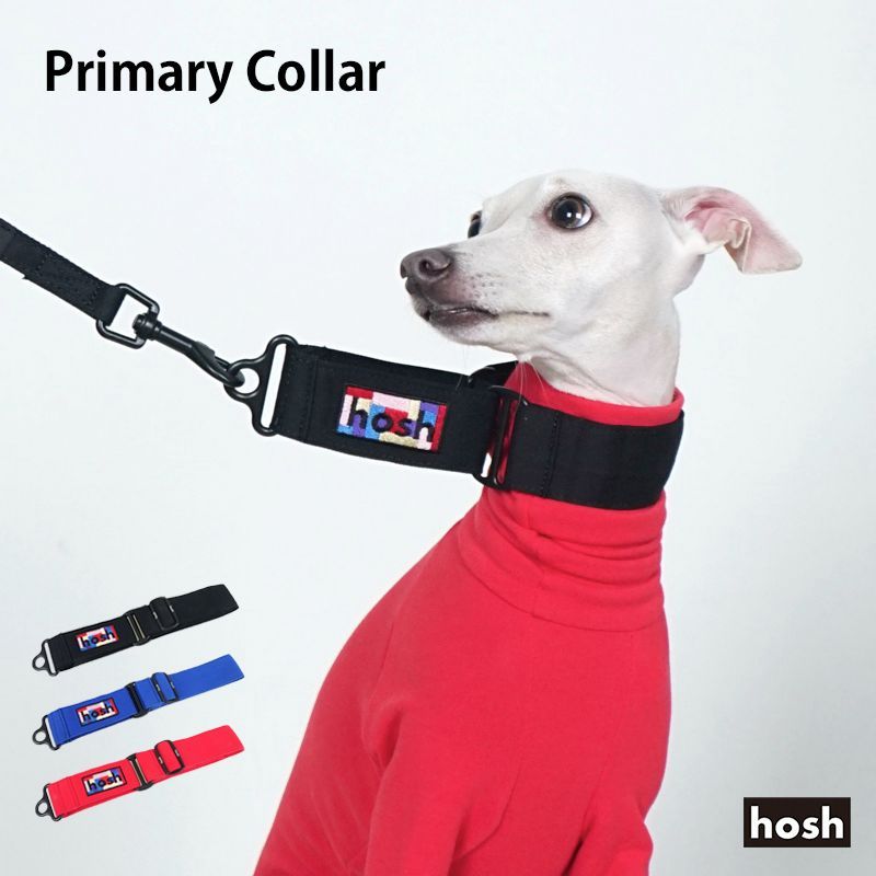 海外輸入品 犬用タグトイ 海外輸入品 犬用タグトイ 直輸入ドッググッズ