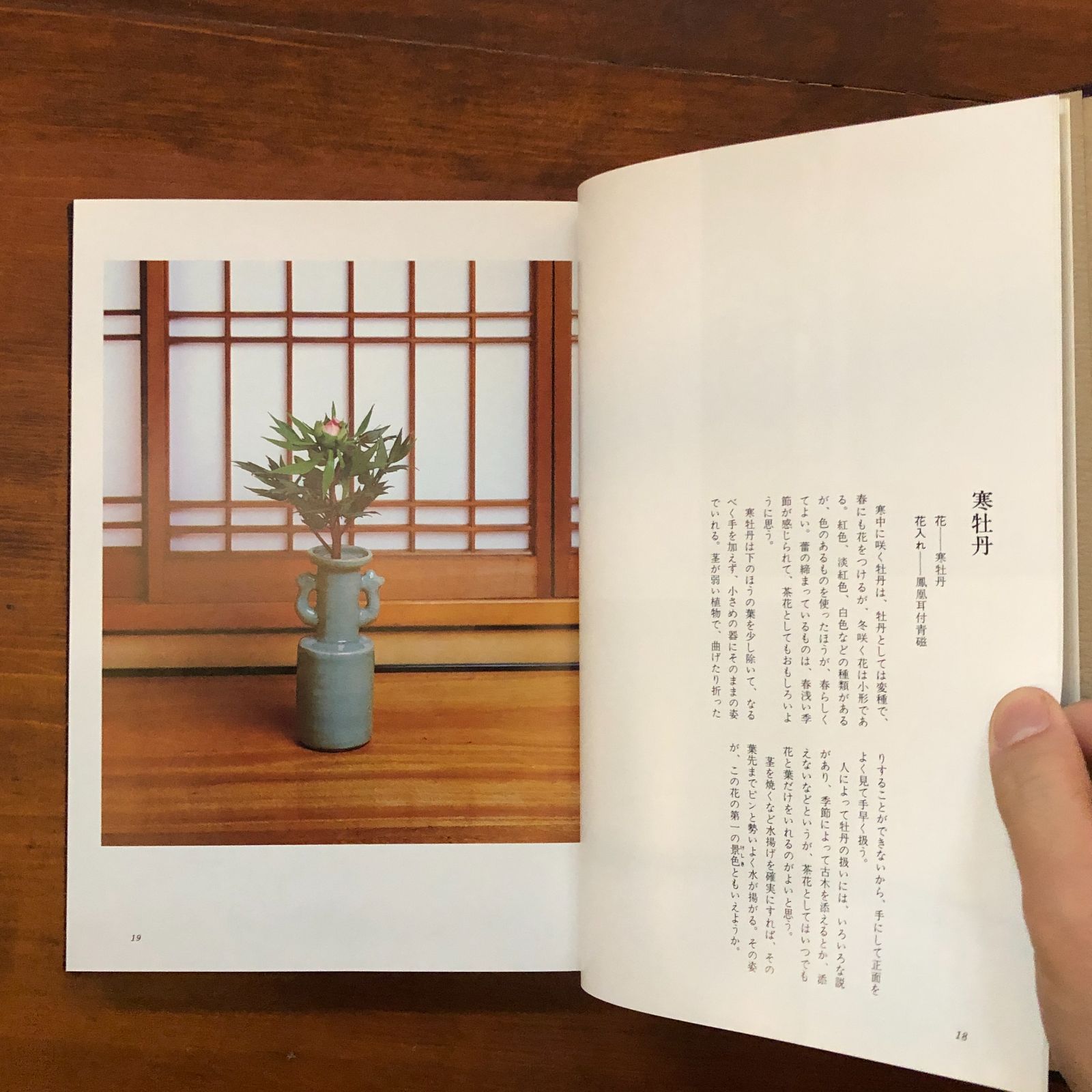 茶花入門 1979.8 田中仙翁 著 271p 主婦の友社 27cm ☆茶道 茶の湯
