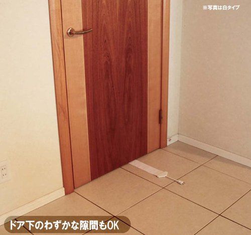 フラットコード 黒