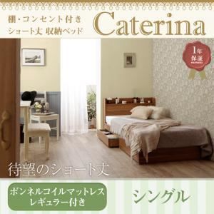 収納ベッド シングル【Caterina】【スタンダードボンネルコイル