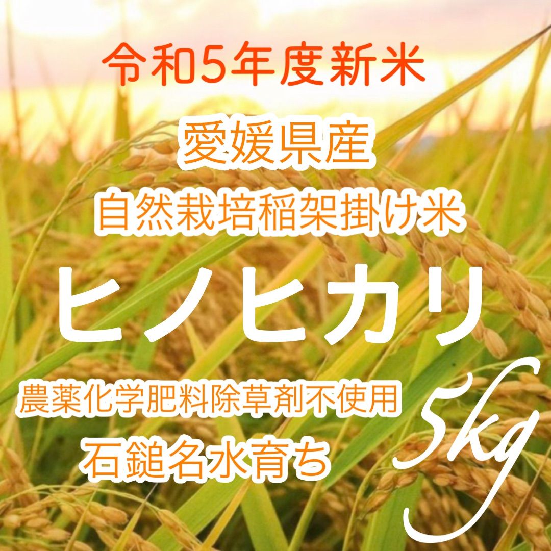 令和5年度新米　農薬化学肥料不使用　自然栽培稲架掛け　愛媛県産ヒノヒカリ5kg　メルカリ