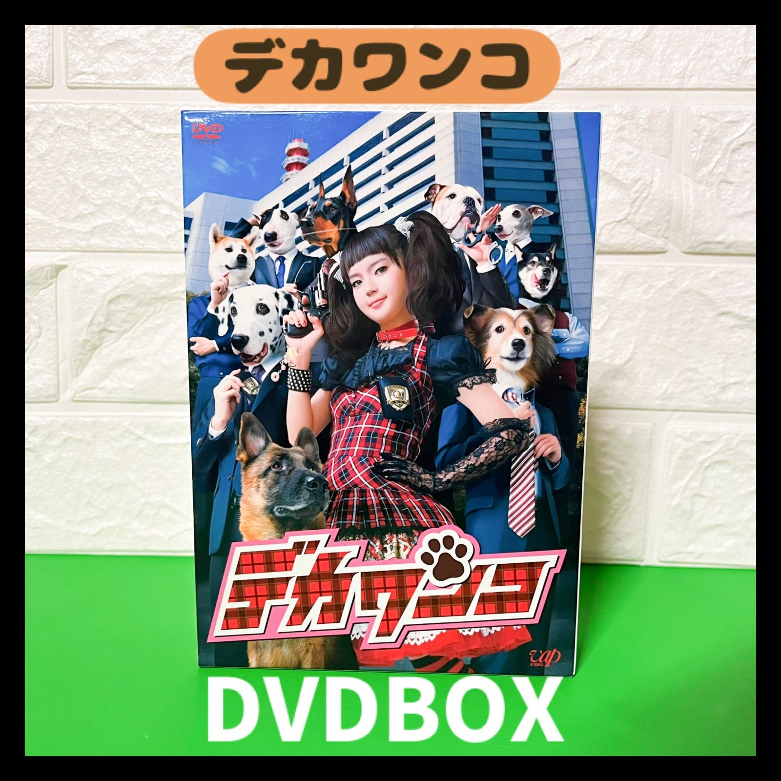 デカワンコ DVD-BOX〈6枚組〉 デカワンコ 多部未華子 DVDBOX ドラマ - メルカリ