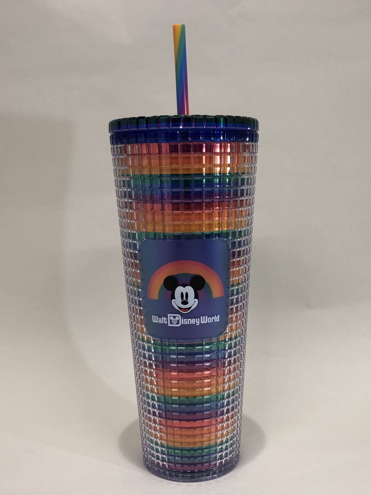 フロリダスターバックス ディズニーワールド限定保温 水筒 フロリダ