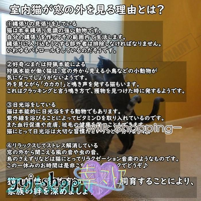 窓ベッド