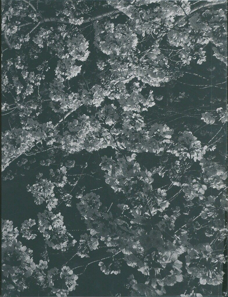 森山大道 記録/Record 2 Record 2 by Daido Moriyama（森山大道） 写真