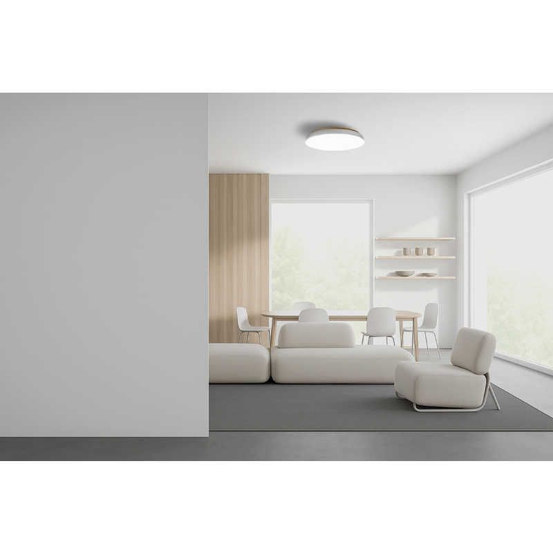 昼光色～電球色 リモコン付属