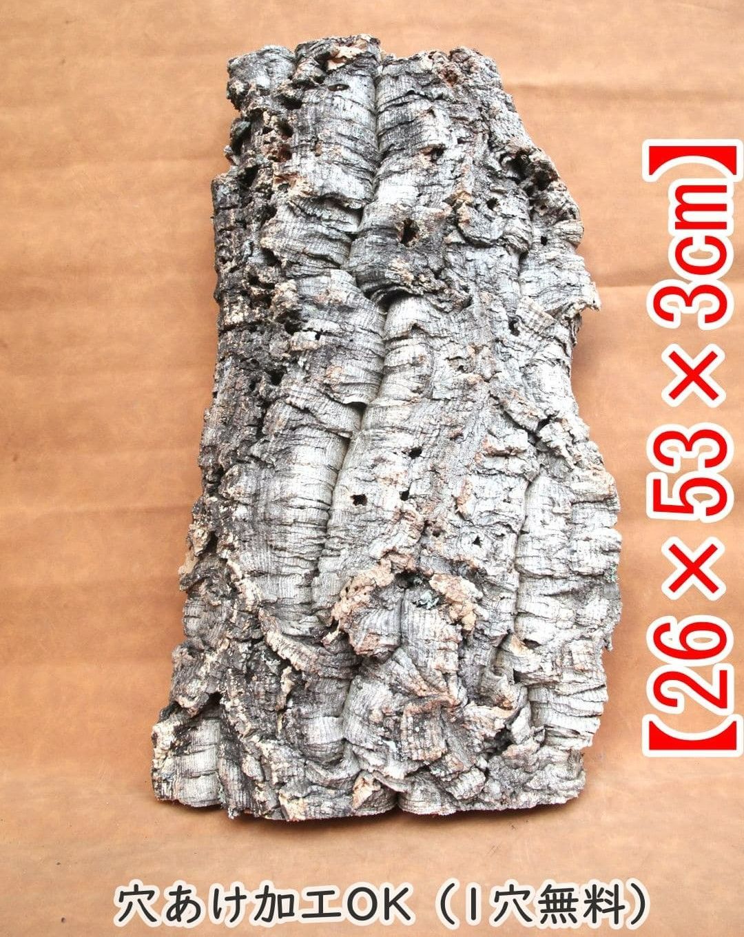 H544 ポルトガル産 厚め コルク樹皮 コルク板 バージンコルク チランジア ビカクシダ 着生ラン 両生類 爬虫類